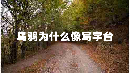 烏鴉為什么像寫字臺(tái)