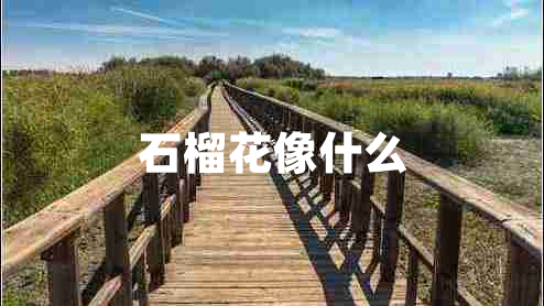 石榴花像什么