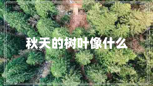 秋天的樹(shù)葉像什么