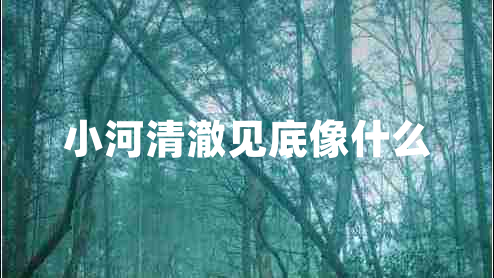 小河清澈見(jiàn)底像什么