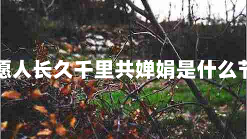 但愿人長(cháng)久千里共嬋娟是什么節日