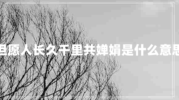 但愿人長(cháng)久千里共嬋娟是什么意思
