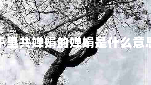 千里共嬋娟的嬋娟是什么意思