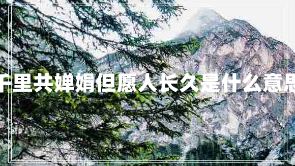 千里共嬋娟但愿人長(cháng)久是什么意思