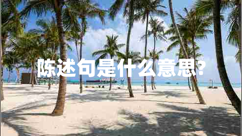 陳述句是什么意思?