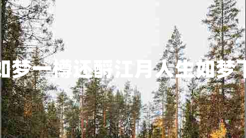 人生如夢(mèng)一樽還酹江月人生如夢(mèng)下一句