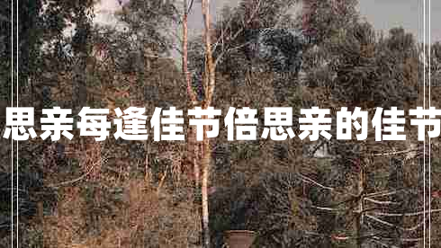 每逢佳節倍思親每逢佳節倍思親的佳節是什么節日