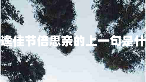 每逢佳節倍思親的上一句是什么