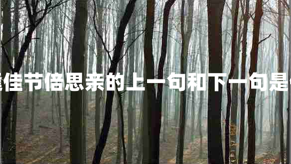 每逢佳節倍思親的上一句和下一句是什么