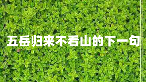 五岳歸來(lái)不看山的下一句