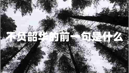 不負韶華的前一句是什么