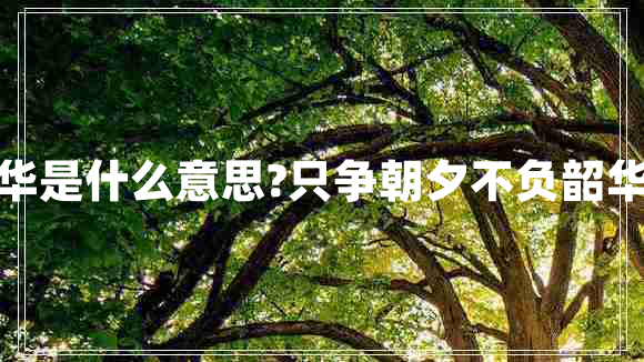不負韶華是什么意思?只爭朝夕不負韶華的意思