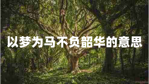 以夢(mèng)為馬不負韶華的意思