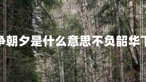 不負韶華只爭朝夕是什么意思不負韶華下一句是什么