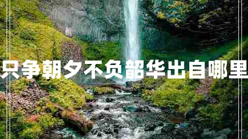 只爭朝夕不負韶華出自哪里