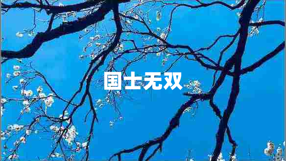 國士無(wú)雙