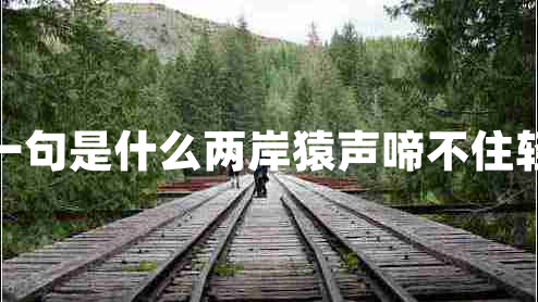 兩岸猿聲啼不住的下一句是什么兩岸猿聲啼不住輕舟已過(guò)萬(wàn)重山的意思