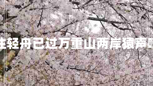 兩岸猿聲啼不住輕舟已過(guò)萬(wàn)重山兩岸猿聲啼不住的下一句