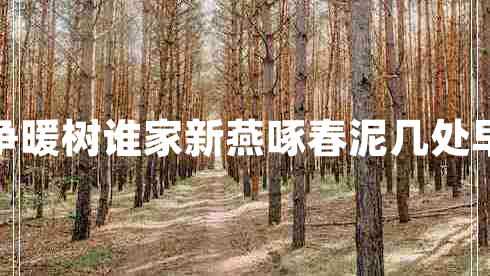 幾處早鶯爭暖樹(shù)誰(shuí)家新燕啄春泥幾處早鶯爭暖樹(shù)