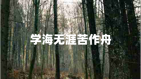 學(xué)海無(wú)涯苦作舟
