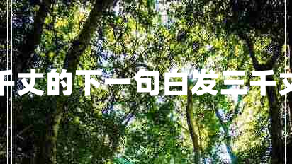 白發(fā)三千丈的下一句白發(fā)三千丈下一句