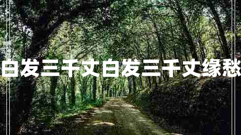 秋浦歌白發(fā)三千丈白發(fā)三千丈緣愁似個(gè)長(cháng)