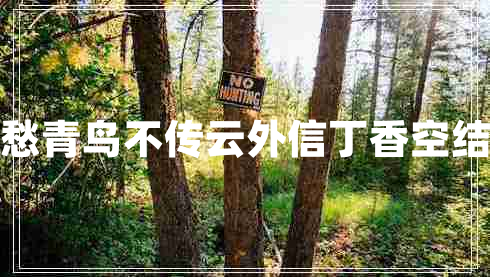 丁香空結雨中愁青鳥(niǎo)不傳云外信丁香空結雨中愁的意思