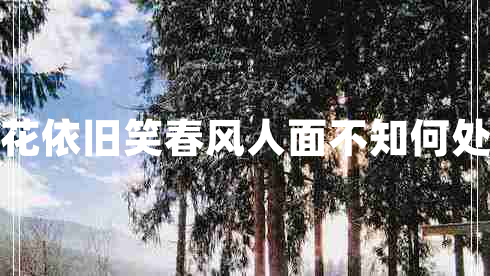 人面不知何處去桃花依舊笑春風(fēng)人面不知何處去桃花依舊笑春風(fēng)