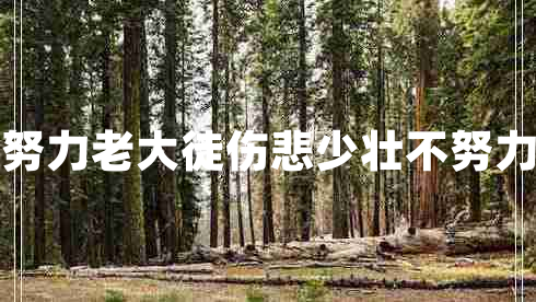 少壯不努力老大徒傷悲少壯不努力上一句