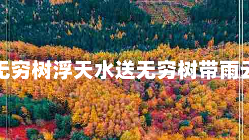 浮天水送無(wú)窮樹(shù)浮天水送無(wú)窮樹(shù)帶雨云埋一半山