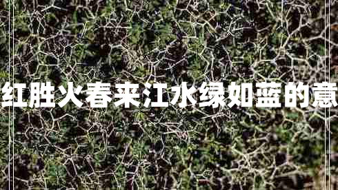 日出江花紅勝火春來(lái)江水綠如藍的意思是什么