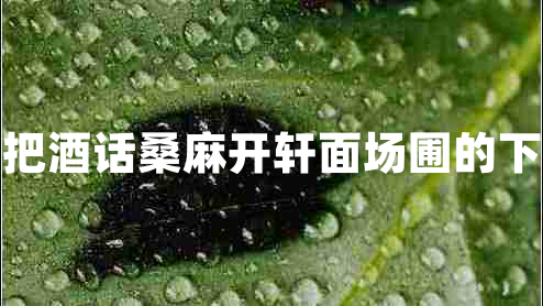 開(kāi)軒面場(chǎng)圃把酒話(huà)桑麻開(kāi)軒面場(chǎng)圃的下一句是什么