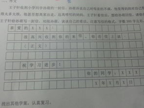 作文,校園,故事,活動(dòng)
