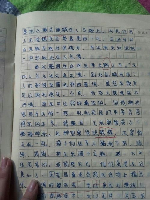作文,一件事,校園里,開學
