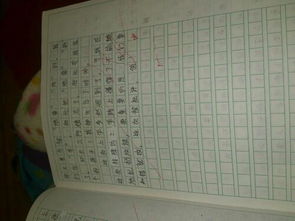 寫(xiě)一篇關(guān)于校園衛生的作文400字作文400字作文400字