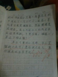 小學(xué)三級(jí)作文寫(xiě)我的校園
