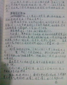 校園里的什么半命題作文怎么寫(xiě)