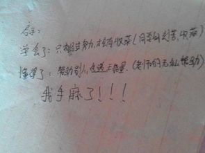 熱鬧的校園寫一篇作文,熱鬧的校園作文三年級,熱鬧的校園作文300字