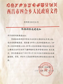 作文,捐贈,愛心,校園