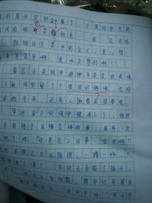 作文,校園