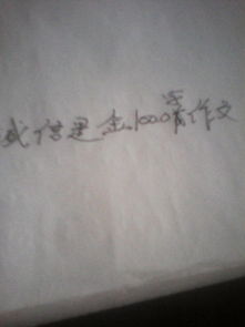 校園誠信作文1000