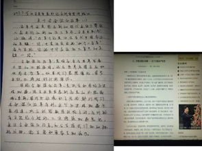 烈日炎炎下的校園作文450字,烈日炎炎下的校園作文500字,烈日炎炎下的校園作文600字