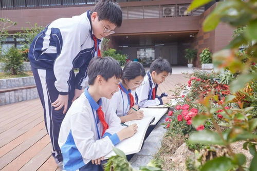 畫(huà)卷校園作文