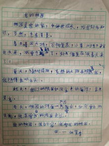 小學(xué)四年級(jí)我們的校園的作文怎么寫,四年級(jí)作文我們的校園400字作文,我們的校園四年級(jí)300字作文怎么寫