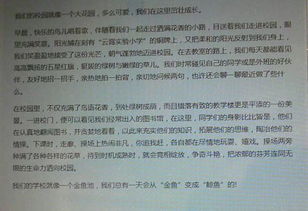 校園一次活動作文450個字左右作文大全