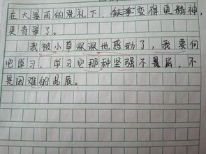 為校園同學(xué)點(diǎn)贊作文開(kāi)頭結(jié)尾怎么寫(xiě)