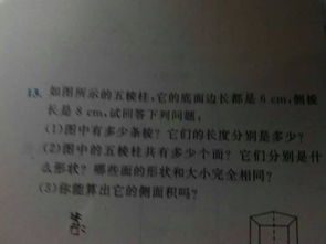 讓博物館走進(jìn)校園作文500字