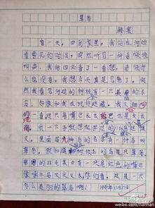 校園網(wǎng)曝作文