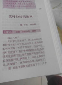 作文,春夏秋冬,校園