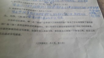 主席臺(tái),作文,校園